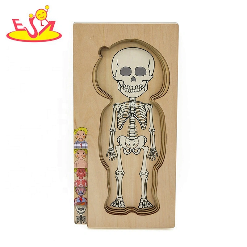 2020 Customize educational wooden body systems puzzle for children W12E057