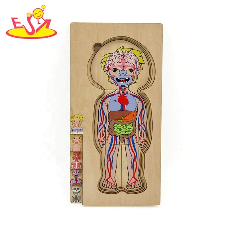 2020 Customize educational wooden body systems puzzle for children W12E057