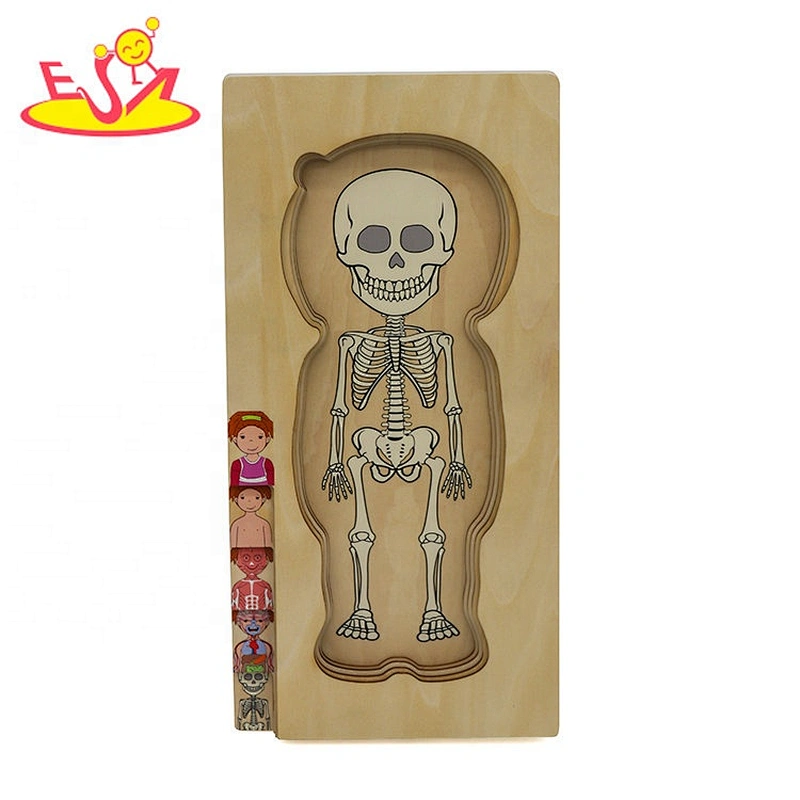 Customize educational wooden human anatomy jigsaw puzzle for kids W12E058