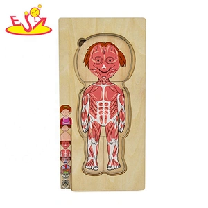 Customize educational wooden human anatomy jigsaw puzzle for kids W12E058