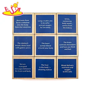 Монти соли обучает детей деревянным деревянным кубикам