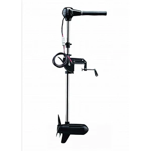 brushless trolling motor