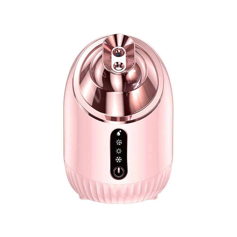 Face Nano Home Use Beauty Equipment Portable Spa Mist Sprayer Hot And Cold 2 In1 Multifunction Ionic Deeply Facial Steamer