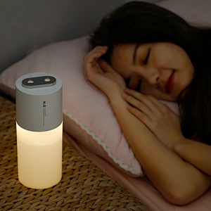 New upgraded 2000mAh 400ml double spray port night light humidify air mini humidifier for home car -HL4947