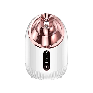 Face Nano Home Use Beauty Equipment Portable Spa Mist Sprayer Hot And Cold 2 In1 Multifunction Ionic Deeply Facial Steamer