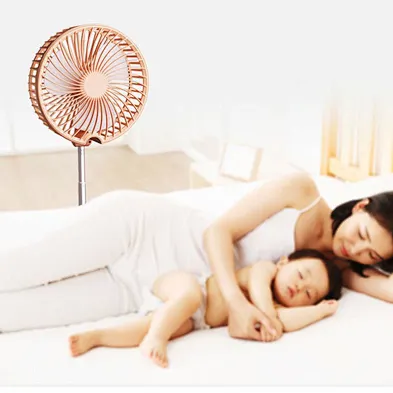 USB Charging Remote Control Shaking Head Spray Humidification Folding  Fan  Outdoor Telescopic Fan