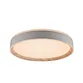 LED ceiling light