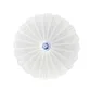 LED ceiling light