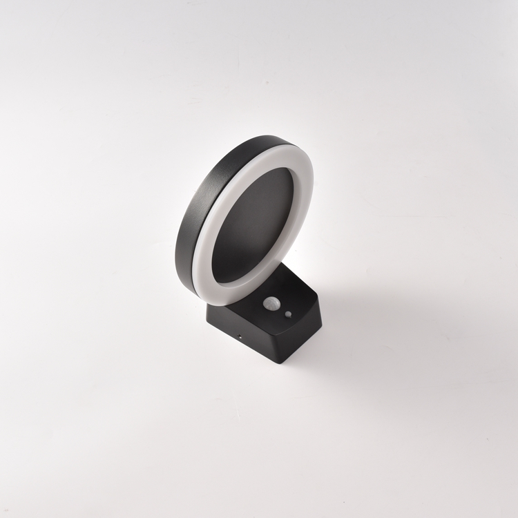 LED Solar Wall Light with Motion Sensor