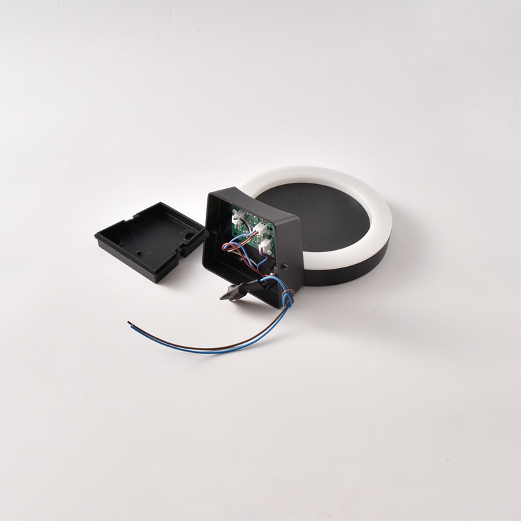LED Solar Wall Light with Motion Sensor