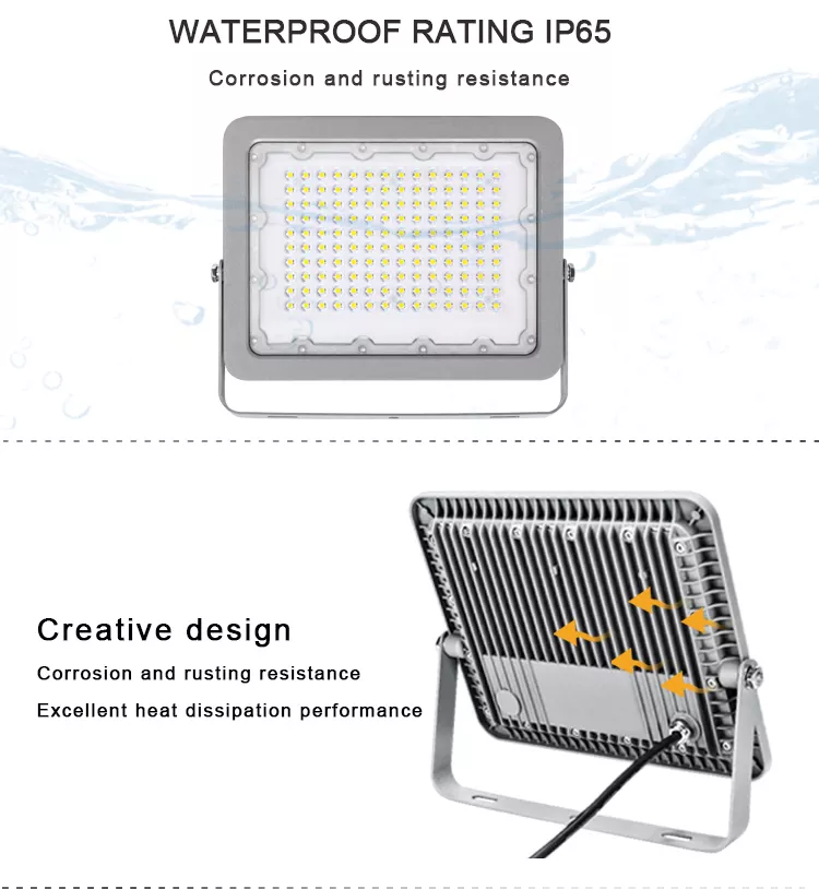Floodlight Ultra Slim with Lens