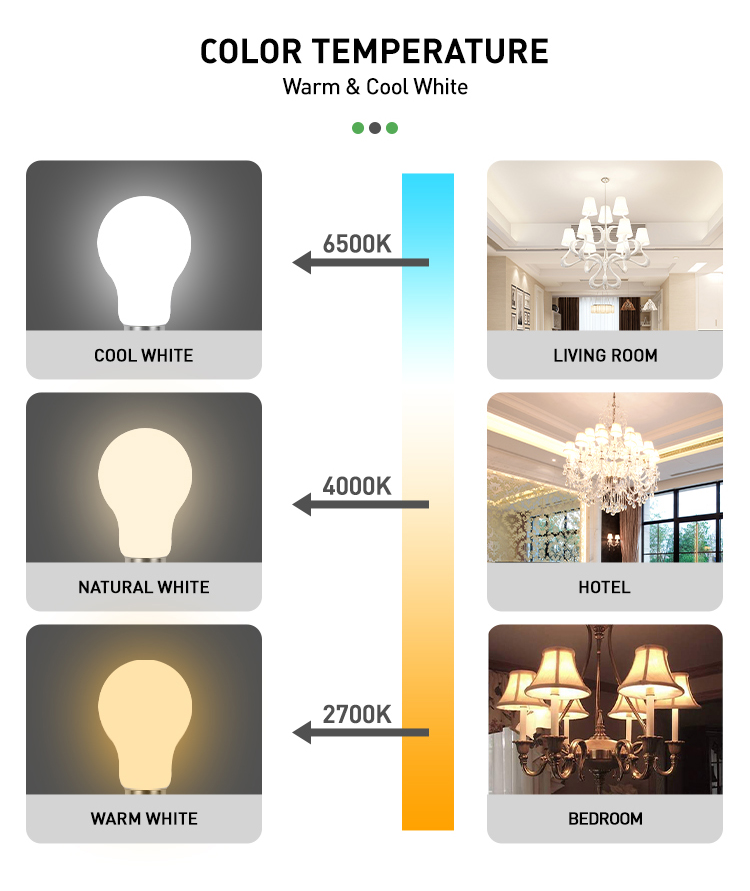 LED GLOBE BULBS