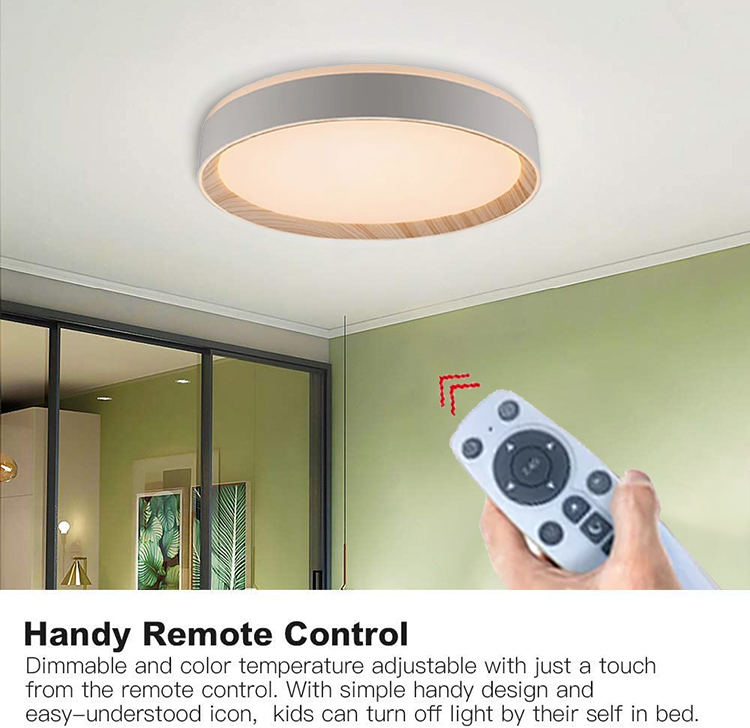 LED ceiling light