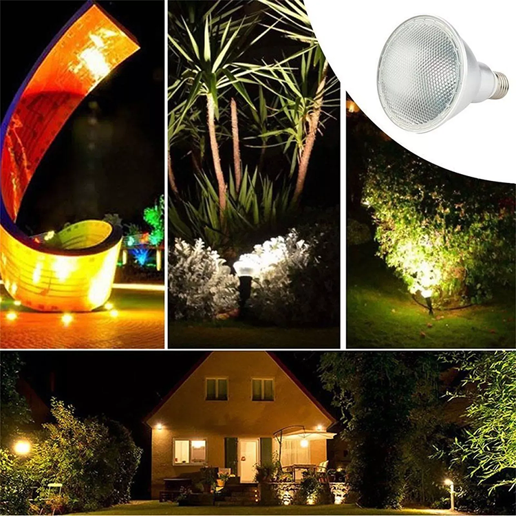 LED Bulb PAR38 15w RGB