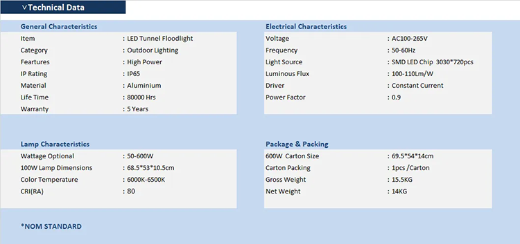 LED Tunnel Floodlight