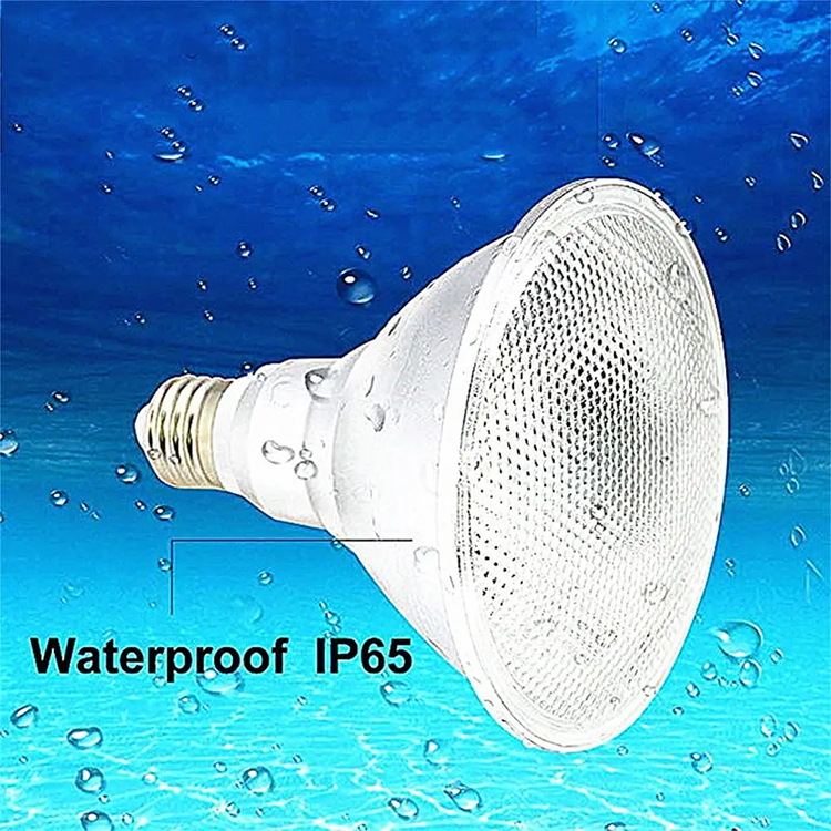 LED Bulb PAR38 15w RGB