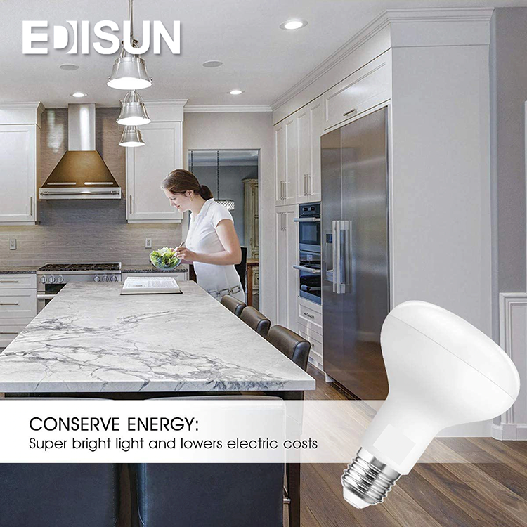 LED R50 R63 Bulb