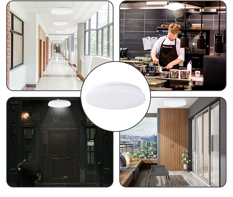 LED Ceiling Lights 24W 3 IN 1