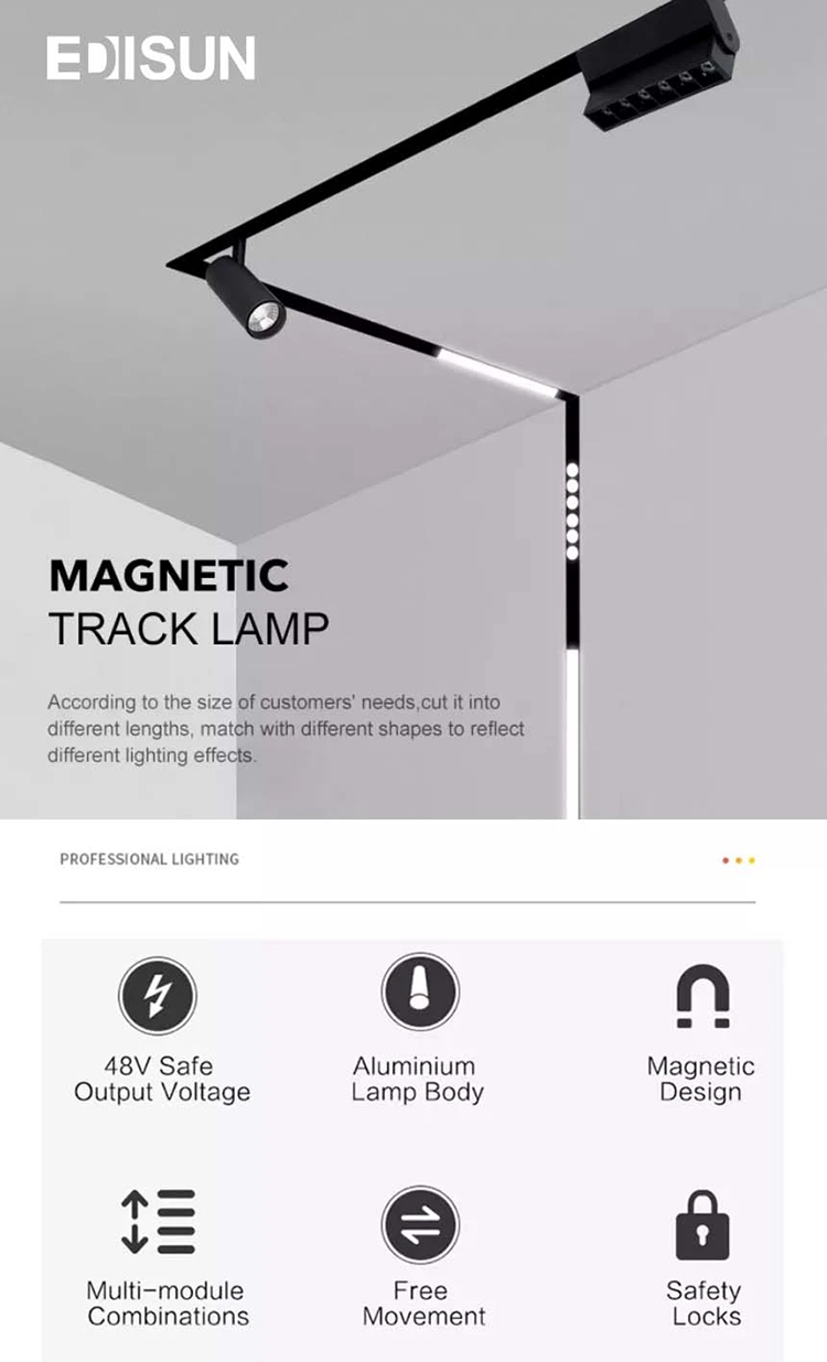 EDISUN LED Lamp Head with Recessed LED Magnetic Track Lights