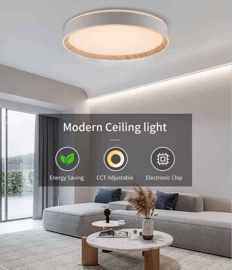 LED ceiling light