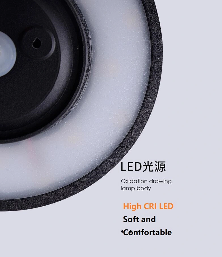 12W Round/Square Shape LED Wall Lamp