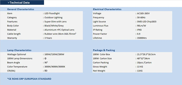 Floodlight Ultra Slim with Lens