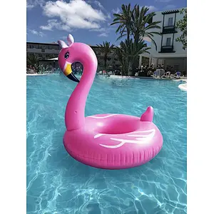 FloatGoat Inflatable Flamingo Pool Float Tube. Flamingo Swim Ring Pool Raft
