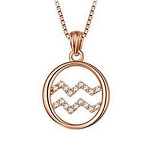 Zodiac Aquarius symbol round pendant silver jewelry