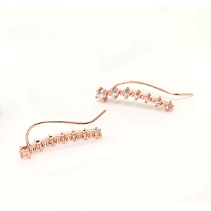 925 sterling silver row drill set with diamond stud,  fashionable silver accessories female earrings