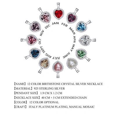 Fashion Jewelry 925 Silver Heart Shape 12 Zodiac Necklace Rhinestone