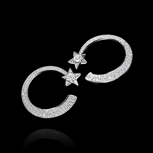 Lovely luxury tasteful fashion designer silver double c earrings