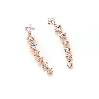 925 sterling silver row drill set with diamond stud, fashionable silver accessories wholesale female creative earrings