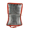 insulated cooler bag