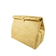 Chiterion Tyvek Dupont Restaurant Take Away Insulated Thermal Meal Lunch Bag for Women Kids to Picnic Pizza Fruit Party School