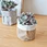 small wholesale office lady fitness grocey big things organizer stylish Canvas Girl Lunch Tote Bag Daily Promotion Gift Travel