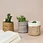 small wholesale office lady fitness grocey big things organizer stylish Canvas Girl Lunch Tote Bag Daily Promotion Gift Travel