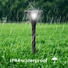 Solar Spike Light
