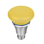 Alexa and Googlehome wifi bulb