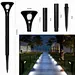 Outdoor Solar Spike Light