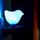 Amazing Bird Shaped Wall Hanging Voice led lamp for reading books