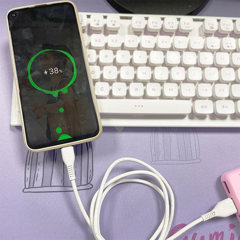 Degradable hot selling charging cable durable cable data transfer cable for iphone Type-c