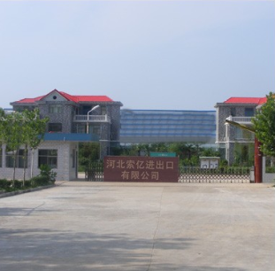company 02 (1).png