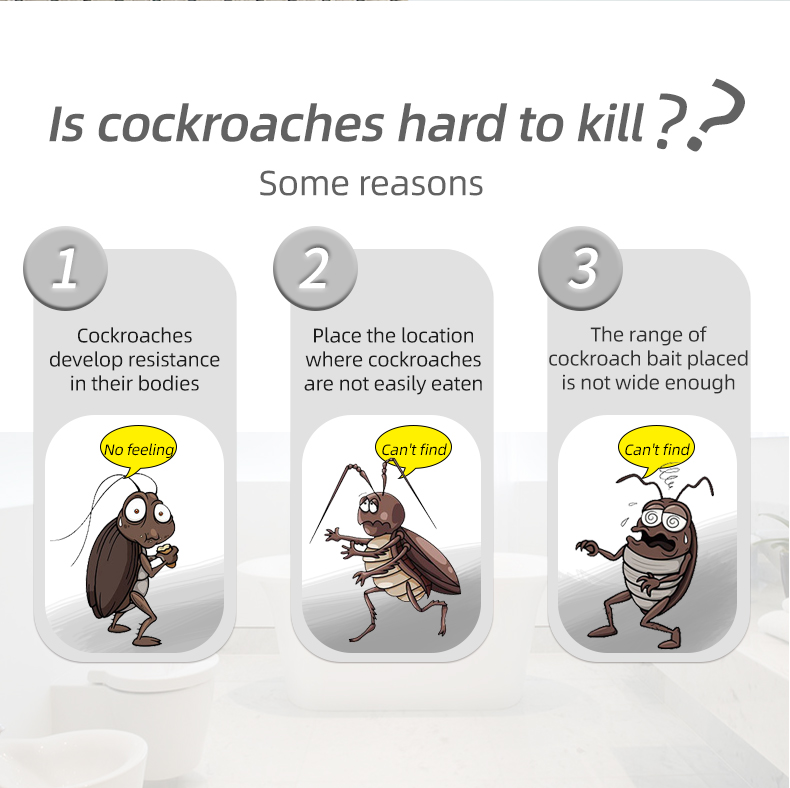 cockroach powder cockroach killer powder powder cockroach killing bait roach killer powder cockroach killing bait