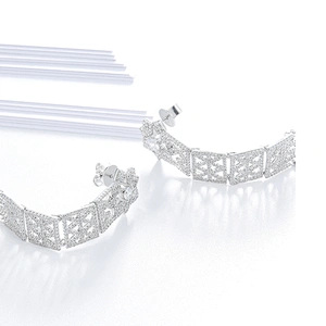 earrings for women,Fashion 925 sterling silver earrings,long earrings,designer earrings