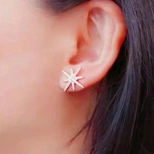 pierced earring Stars earrings  large jewelry factory,OEM/ODM Jewelry Trade processing customized,Wholesale jewelry manufacturer