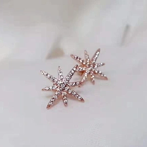 pierced earring Stars earrings  large jewelry factory,OEM/ODM Jewelry Trade processing customized,Wholesale jewelry manufacturer