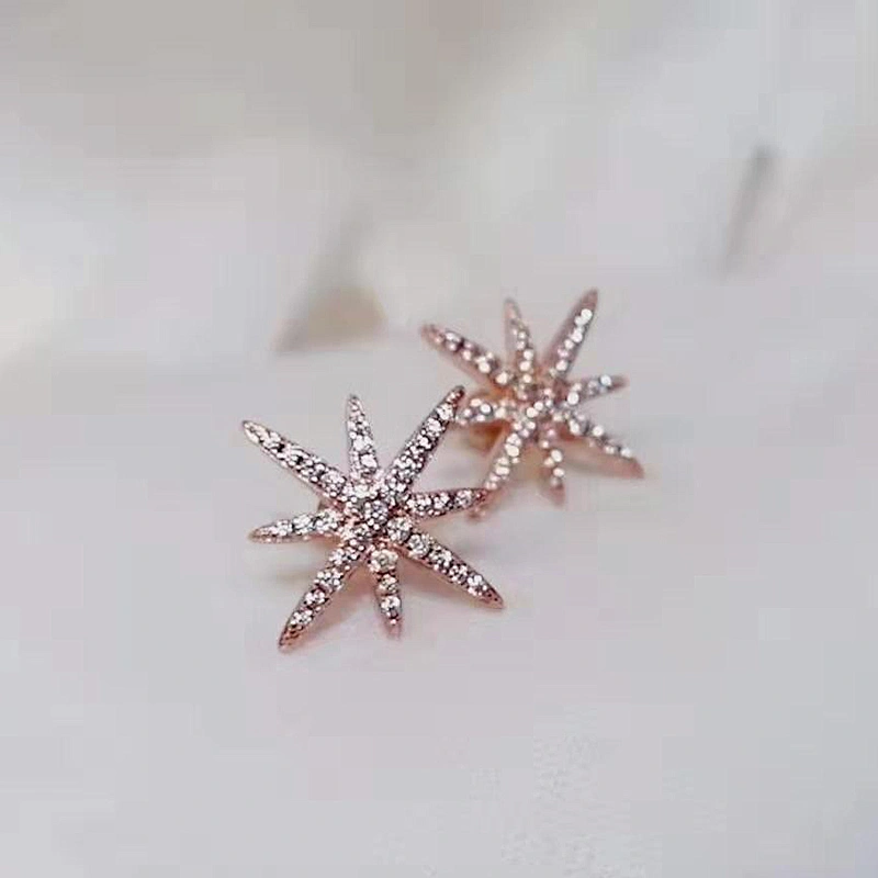 pierced earring Stars earrings  large jewelry factory,OEM/ODM Jewelry Trade processing customized,Wholesale jewelry manufacturer