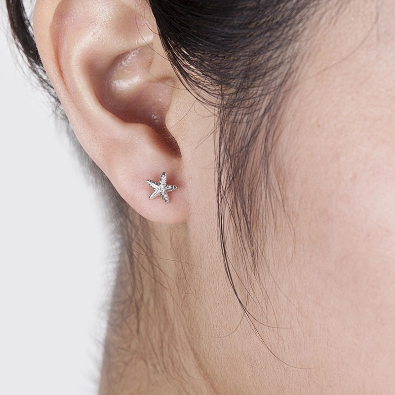 925 Silver Star Earrings LADIES EARRINGS large jewelry factory,OEM/ODM Jewelry Trade processing customized,Wholesale jewelry manufacturer