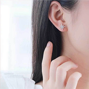 Zircon Star Earrings and studs large jewelry factory,OEM/ODM Jewelry Trade processing customized,Wholesale jewelry manufacturer