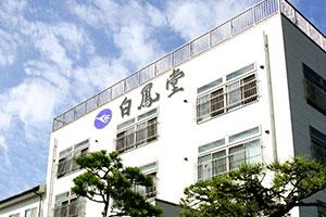 makeup brush manufacturers from Japan